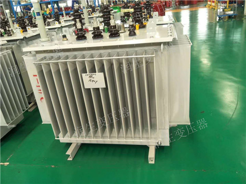 定州S22-1600KVA/10KV/0.4KV油浸式变压器